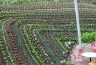 Clifton Springspermaculture-5.jpg; ?>